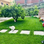Apartamento Sarvi *