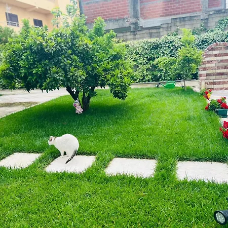 Apartment Sarvi *